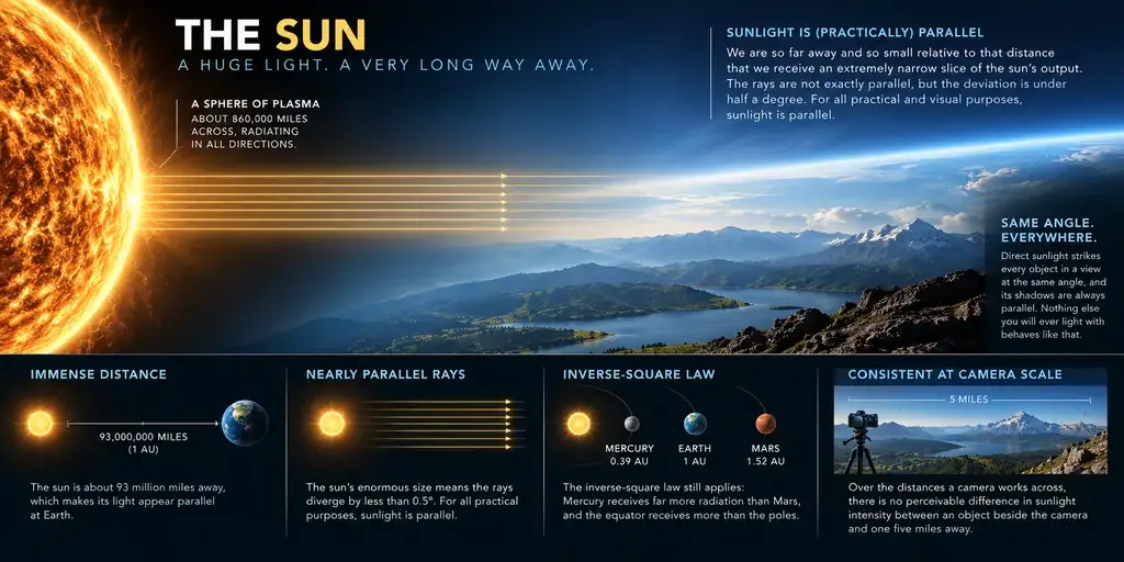 The sun