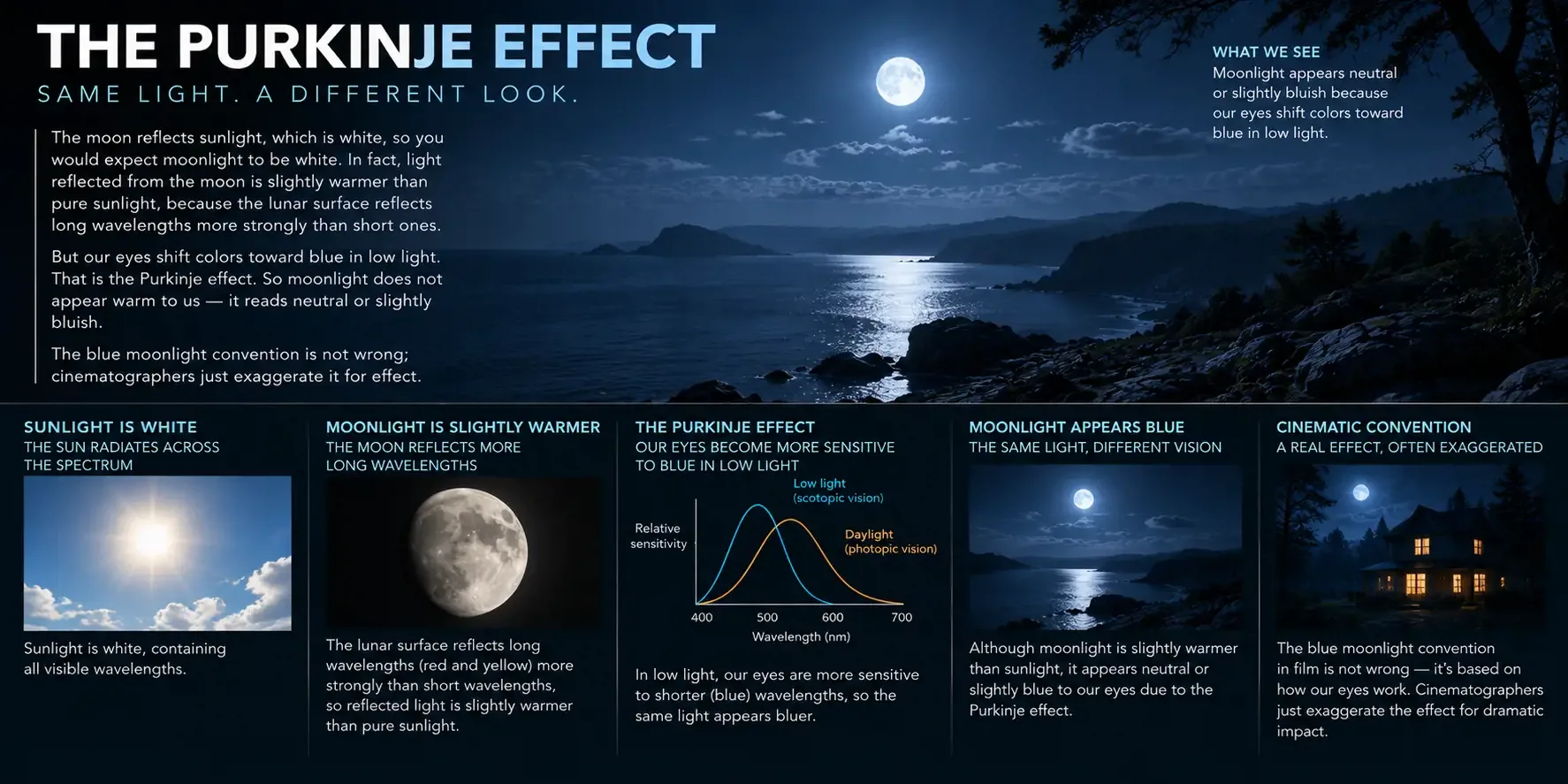 The Purkinje effect